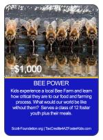 BEE POWER