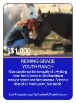 REINING GRACE YOUTH RANCH